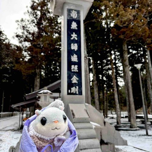 いぱい　なむなむした
