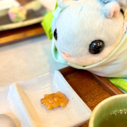 かめちゃんのあられ　かわいとおもた