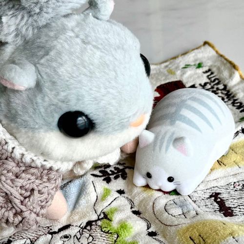 この　ふさふさ　ねこちやん
けしかす　くりーな　なんだて
そんな　がんばらなくて　いいとおもたけども