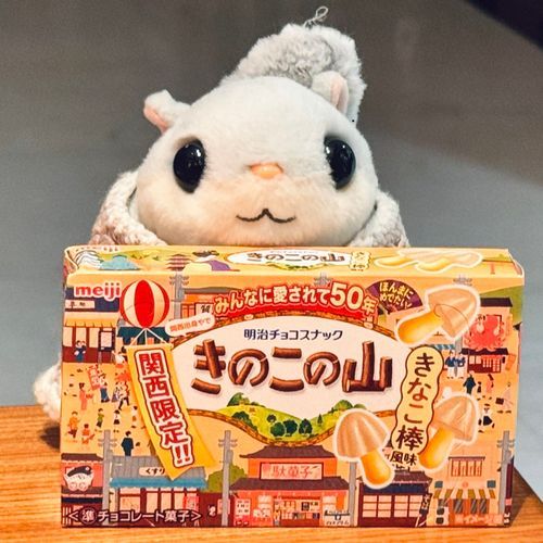 かんさい　しか　はえてない　きのこだて
ほんまに
しらんけど