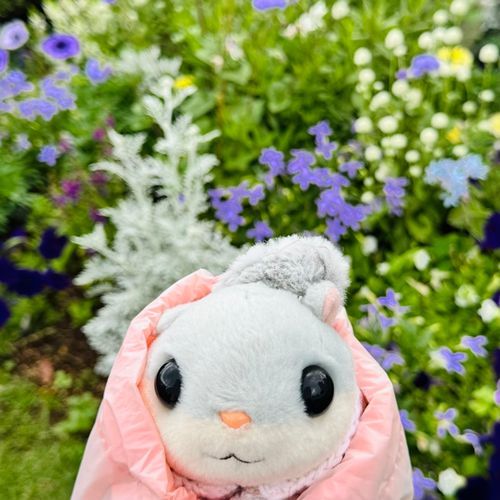 いろいろのおはな
