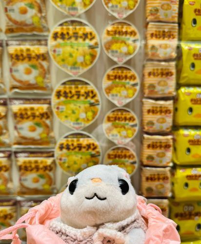 カプヌドル　ミユジアム　きた
さまざま　めん　みた
モモちゃん　めんよりめし　すき
ハヤシメシ　すき