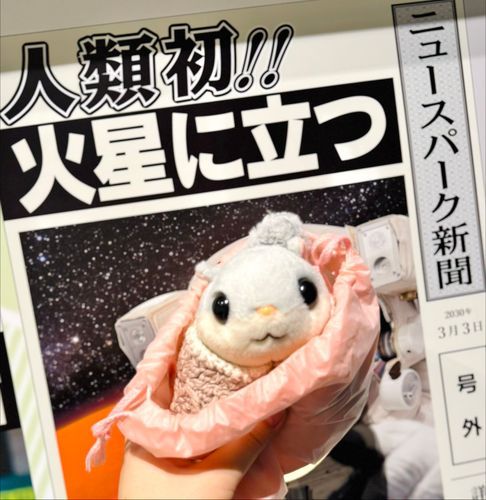 きょぎ　ほうどう　してもらた