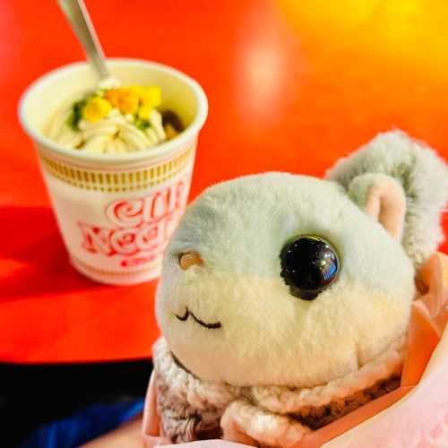 デザト　カプヌドル　そふとクリム
なぞにく　ねぎ　など　トピング
しょぱあまくて　おもしろし
うまし