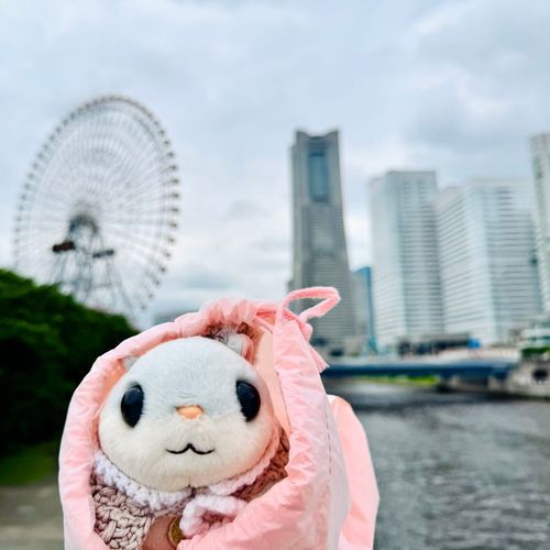 これにて　おしまい
よこはま　たのしかた　おいしかた
うみ　ていいね