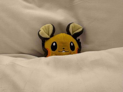 オネンネ！！！！
