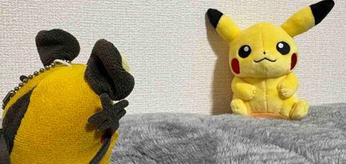 あ！　やせいの
ピカチュウが　とびだしてきたンネ！
ポケモン　30しゅうねん　おめでとうございますンネ！