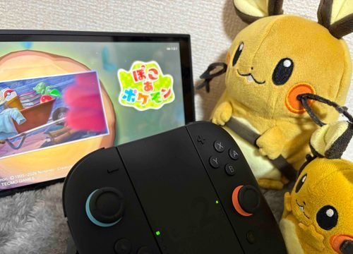 ぽこあポケモンネ！早速遊んでいくンネ！