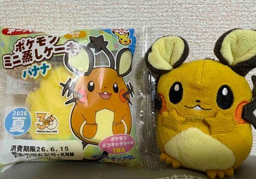 ポケモンパンネ！！デデンネパッケージンネ！！