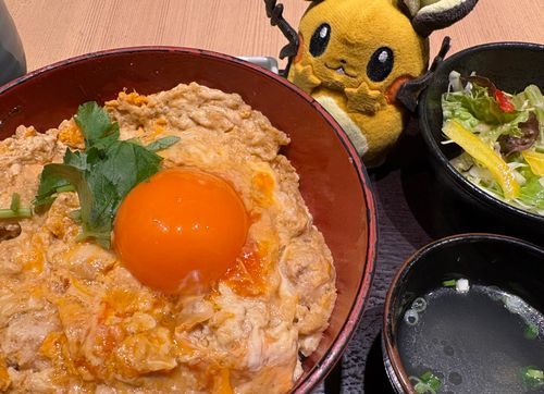 親子丼ネ！お肉たっぷりでお腹いっぱいンネ…！