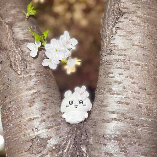 のぼっちゃう