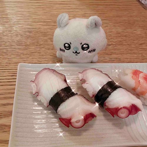 これはギュウッギュウに縛られたタコ