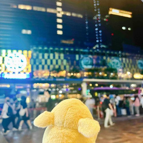 やえす!!