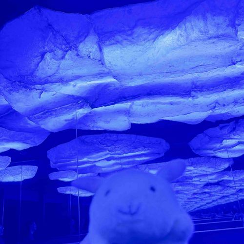 氷の下です…ぶくぶく🧊