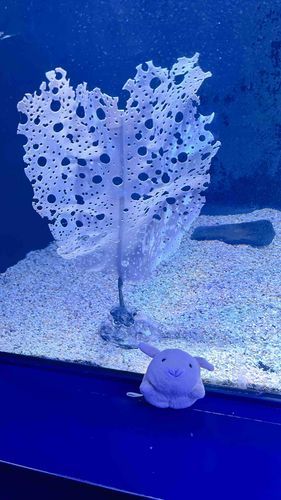 ジェイソンの元かも？なんだろ