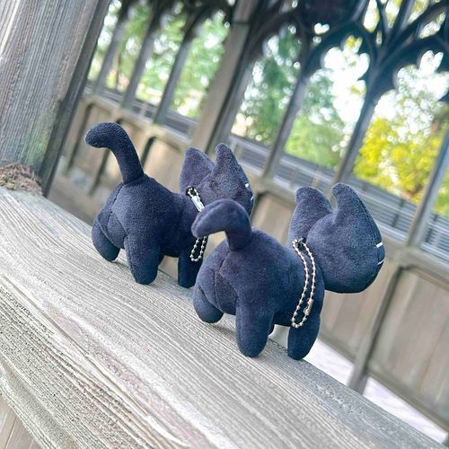 🐈‍⬛🪄︎︎✨