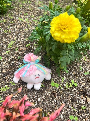 はじめまして、ニンニンです(｡･ᴗ･)自然ぬいぐるみ界隈ですよろしくお願いします·͜· ♡