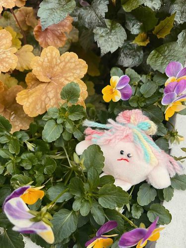 いっぱいの葉っぱとお花💐