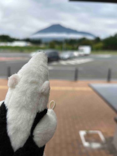 岩手山さん、またきまーす
（遠出担当 ありくい）