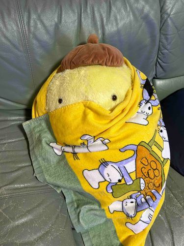 さぶすぎるので  鼻を隠しています