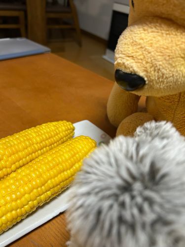かあさまはとうもろこしが大好きなんだよー

プーさんがガン見してるけど  まぬももらえるまでねばる