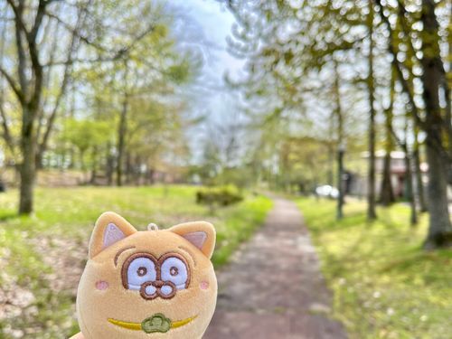 前におでかけしたときの