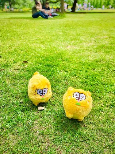 おはよー
昔しんじくぎょえんであそんだ時の、おきにいりのしゃしん