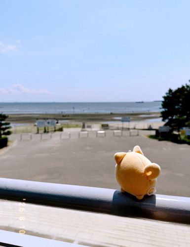 今日は海にいったよ