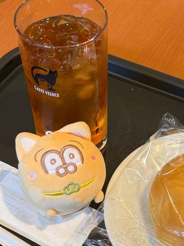 ねこさんといっしょに撮ったやつ