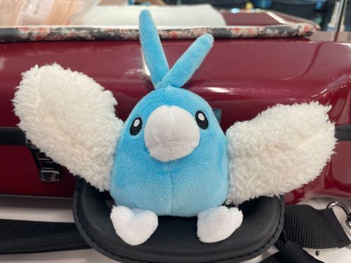 ポケモンfit チルットの女の子、とり ちゃんです。

持ち主母「これなに？」
持ち主「鳥（ポケモン）だよ」
持ち主母「とりちゃんっていうんね〜」
チルット（なるほど、あたいの名前は とりちゃん！）

の流れでとりちゃんとなりました。

よろしくお願いします。