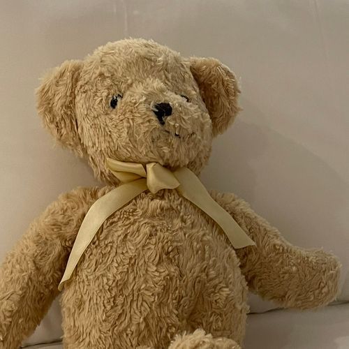 テディベアのばにらです。

恐がりの泣き虫ですが、優しいくまちゃんです。
よろしくお願いします。