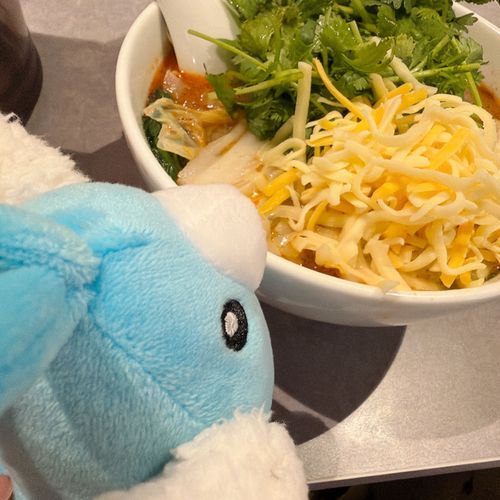 初めての麻辣湯でした。とりちゃんがトッピングのパクチーを狙っております。