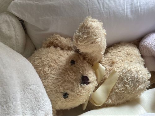 朝おきたら、べっどとかべのすきまに落ちかけてました。ふえ……