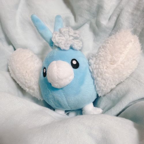 相棒ちゃんに、お花飾り編んでもらったわ！
相棒ちゃんは昔ホウエン地方でポケモンコンテストに参加していたらしいわよ！

※ポケモンサファイアの記憶 何コンテストかは忘れました 