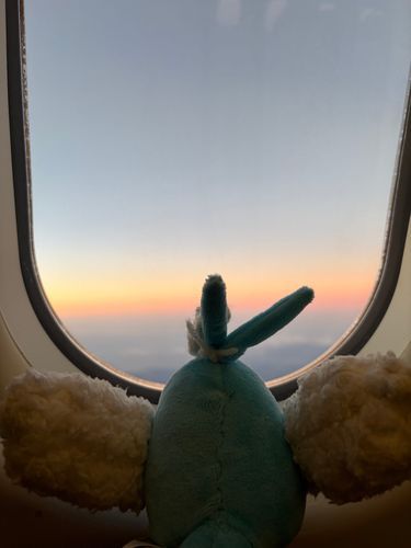 なんかね、飛行機から見る夕焼けね、とっても良かったのよ