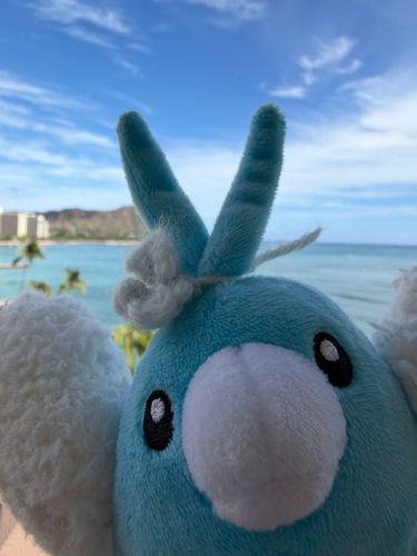 遅れてきた夏のお休みなのよ！！！！！
あれ、テンカラットヒルに似てるわね