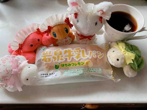 青森にしかないらしい貴重なパンをもらったからみんなで食べます！