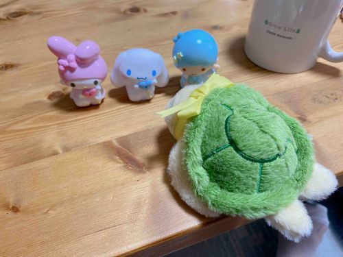 メンチをきるカメックス