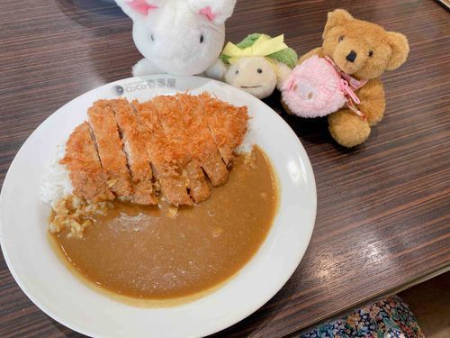 はじめてCoCo壱に行ったよ！
これがCoCo壱の手仕込みとんかつカレーですか〜ふむふむ