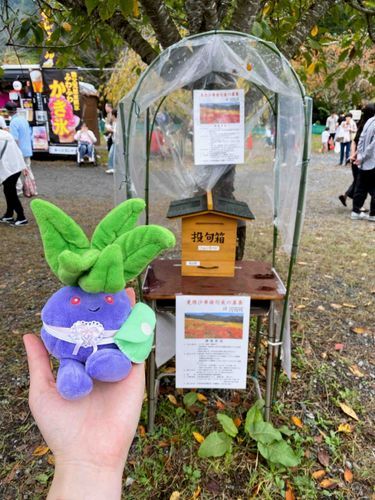 俳句を詠んで投稿できる場所があった！
一人一句までなんだって。