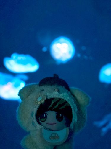 ししょ
すきッス
ささえるッス