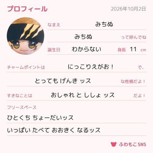 ぷろふぃる つくったッス
みちぬ みんなと なかよし したいッス
だいじ だいじ ッス