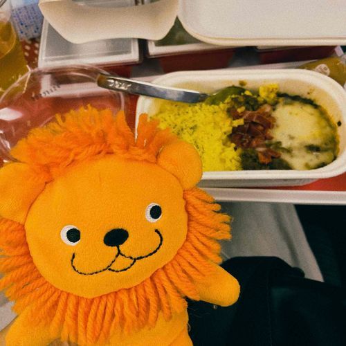 こんにちは、らいおんです。
これは　機内食　てやつ！
ぶじ　ついたぞー！