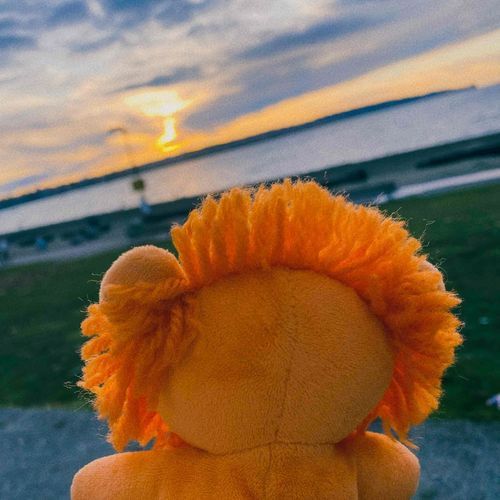 こんにちは、らいおんです。
きょうかえるよ〜
ふわくまくんちゃんと
おるすばんできてるかな？