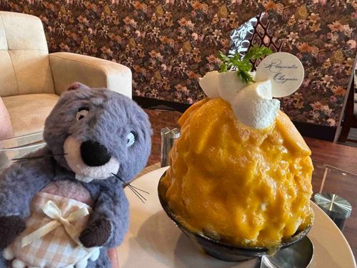 今年初のカキ氷🧊
ケーキ屋さんのカキ氷で、ホイップやソースがとっても滑らかで美味しかった！🥭