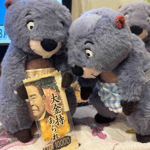 大金持ち💵💵💵
…あられ？