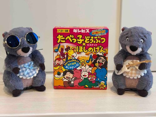 源さんのライブのおみやげ🍬
クイズが気になるぞ、開けてみようよあるじ