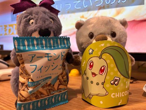 弟コよ！超久しぶりネ！！🎀
コレあるじ！新しい子が来たなら紹介しなさいよッ😡
小魚アーモンド、体にイイわよ！
ぽちゃﾁｬﾝはポケセンで貰ったチコリータの何かにジャストフィットだわね…
