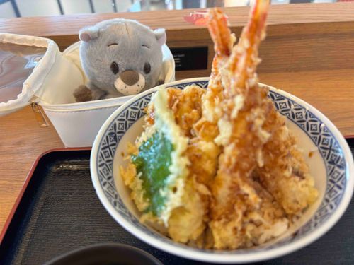 ぽちゃだよ👶🏻この前初めてお出かけに連れてってもらったんだ
天ぷら屋さんの天丼！エビ１匹おくれよ〜！