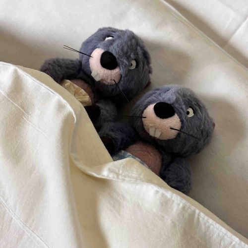 真昼間は暑いから、お昼寝休工な😴